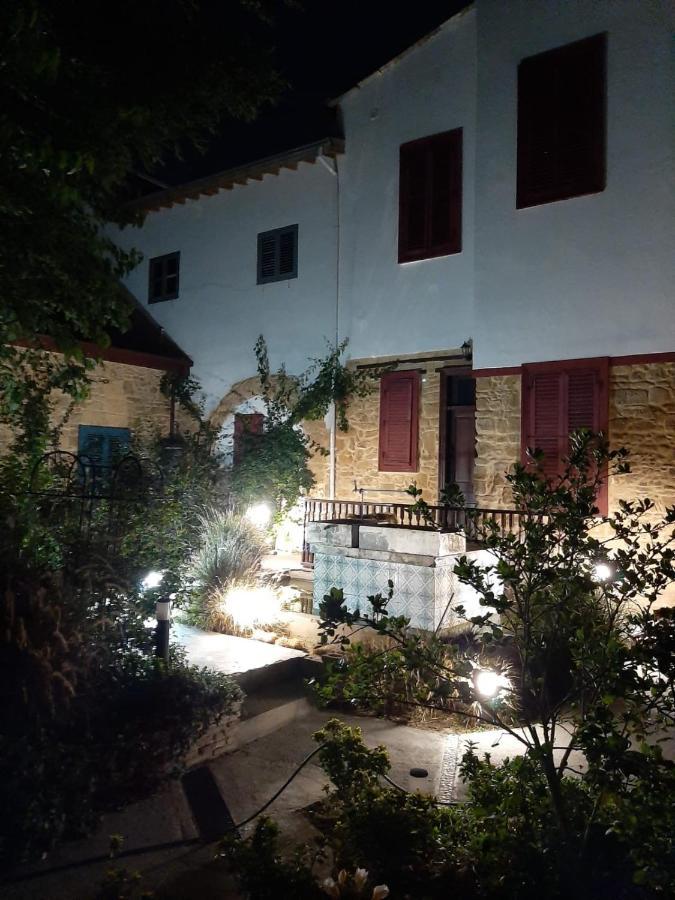Palm Garden Guest House Nicosia Esterno foto