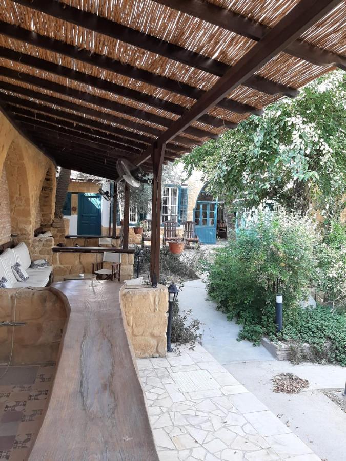Palm Garden Guest House Nicosia Esterno foto